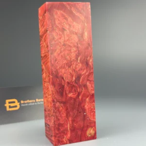 Karelian birch, Karelische Birke, Bouleau de Carélie, Betulla di Carelia, Abedul de Carelia, Bétula da Carélia, Karelische berk, Karelisk björk, Karelsk bjørk, Karelsk birk, Karjalan koivu, Karjala kask, Karēlijas bērzs, Karelijos beržas, Brzoza karelska, Karelská bříza, Karelská breza, Karelijska breza, Karéliai nyírfa, Mesteacăn karelian, Карелска бреза, Καρελιανή σημύδα, Karelijska breza, Карелијска бреза, Карелиска бреза, Beith Chairealach, Bedwen Karelia, Karelns birki, Betula ta’ Karelja, Kareliako urkia, Bedoll de Carèlia, Bidueiro de Carelia, Карельська береза, Карэльская бяроза, Карельская берёза